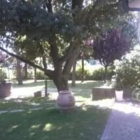 בית אירוח M'ama House